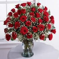 36 Beautiful Ecuadorian Red Roses $200 Dollar Value