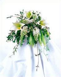 Weddings at Moravian Florist