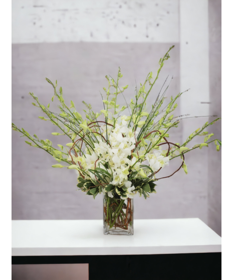 Dendrobium Orchid Bouquet