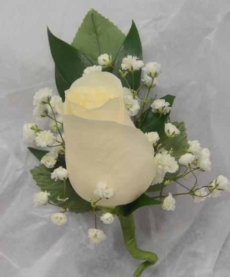 White Rose Bout