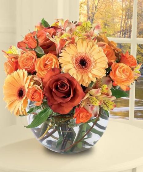 Autumn Elegance
