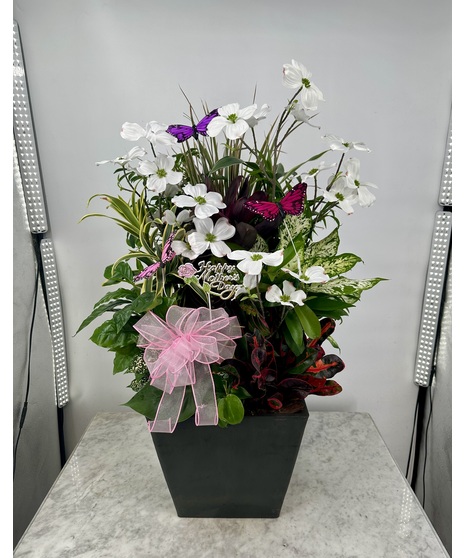Premium Mother's day Dish Garden