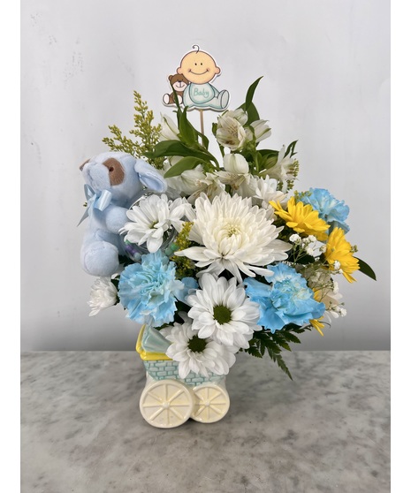 Baby Boy Carriage