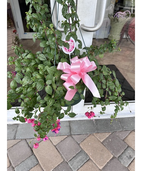 Hanging Basket ** may vary**