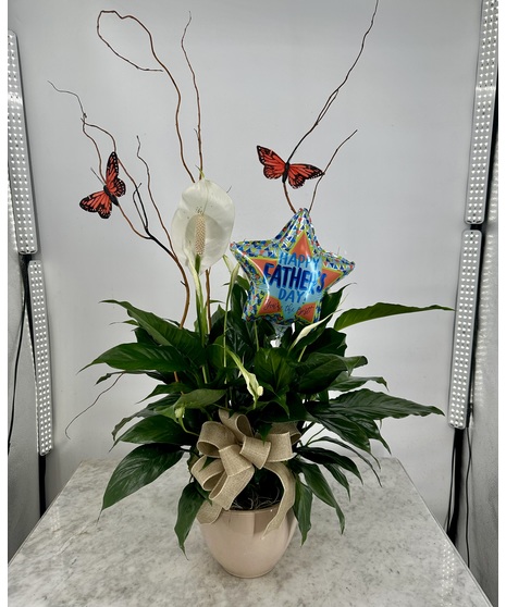 Peace Lily For Dad with Balloon