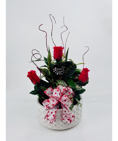 Rose Valentine's Day Dish Garden