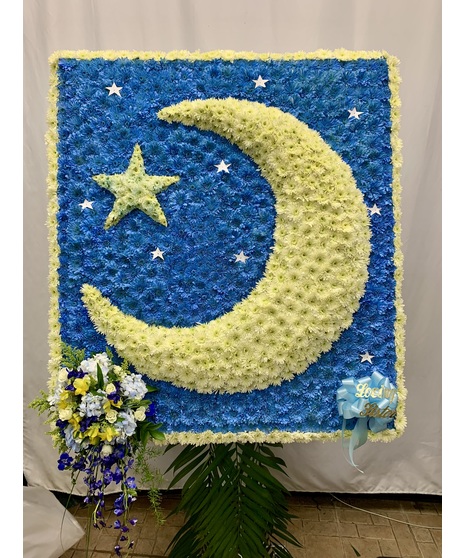 Moon and the Stars