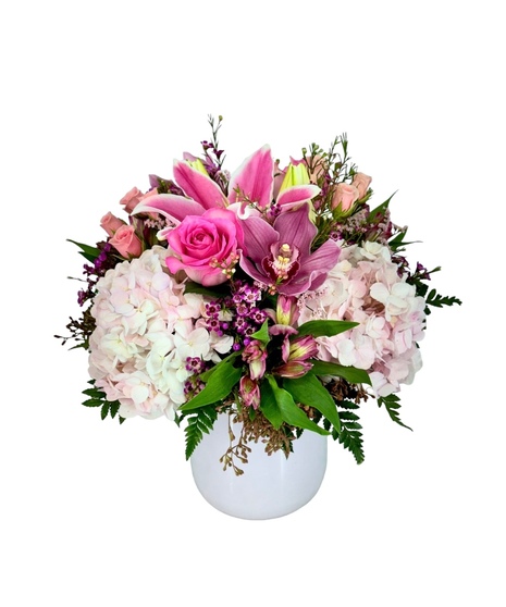 Pink Blossoms