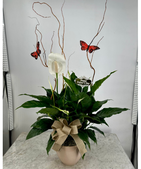 Peace Lily For Dad