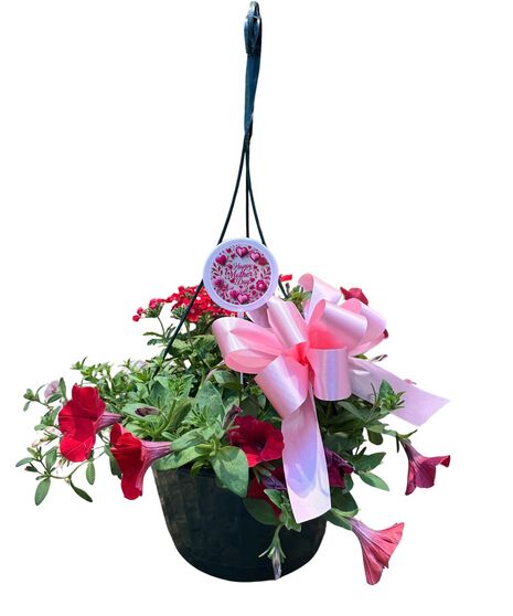 Hanging Basket ** may vary**