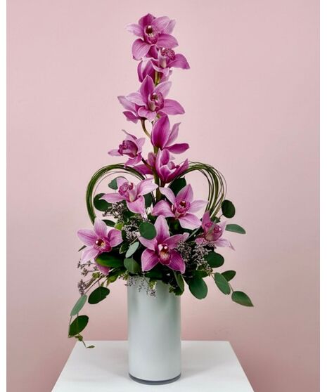 Luxurious Orchids