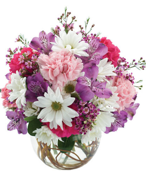 Welcome Spring