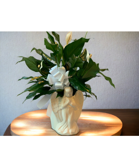 Angel with Peace Lily