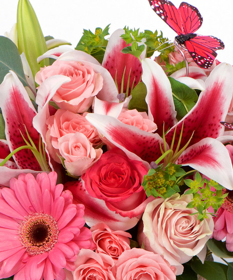 Bright & Colorful Designer's Choice