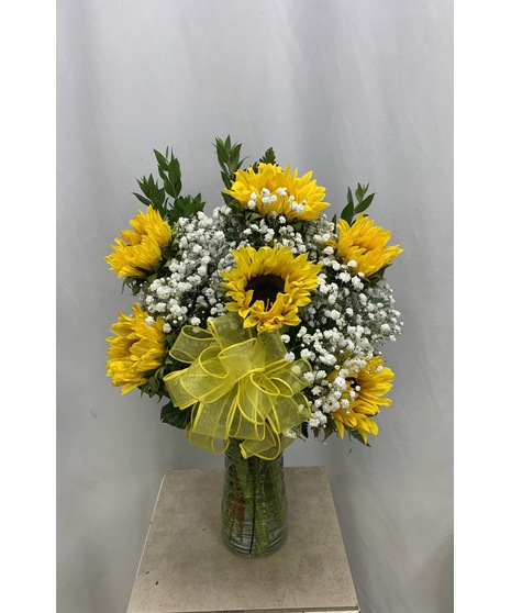 6 Sunflowers