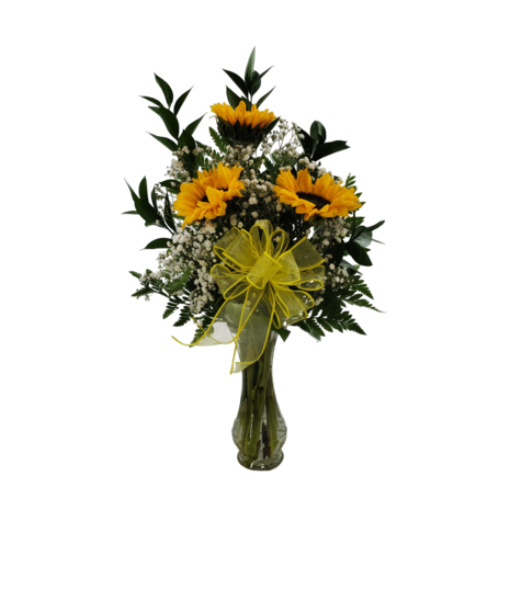 3  Sunflowers Vased
