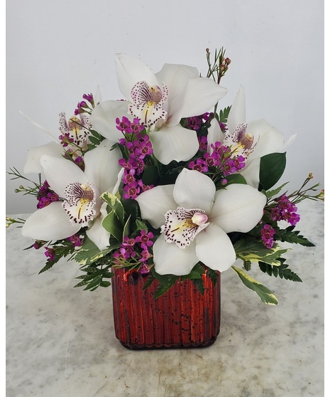 love boat orchids