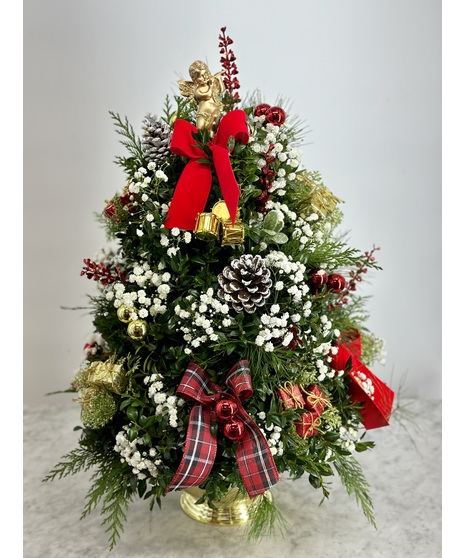 Cut Standard Boxwood Tree