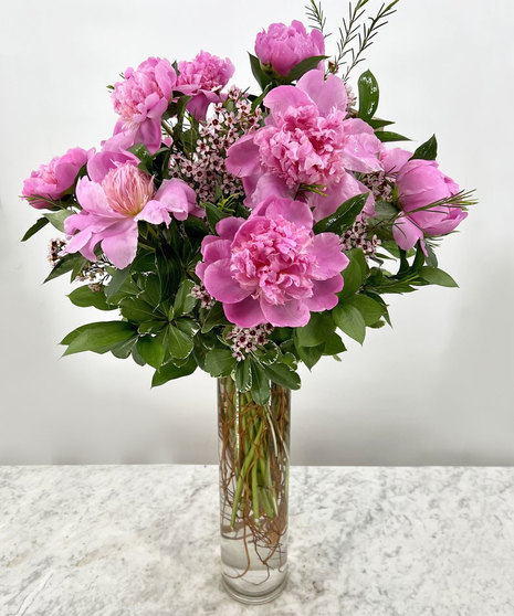 Blushing Blooms. 12 Peonies in a Vase