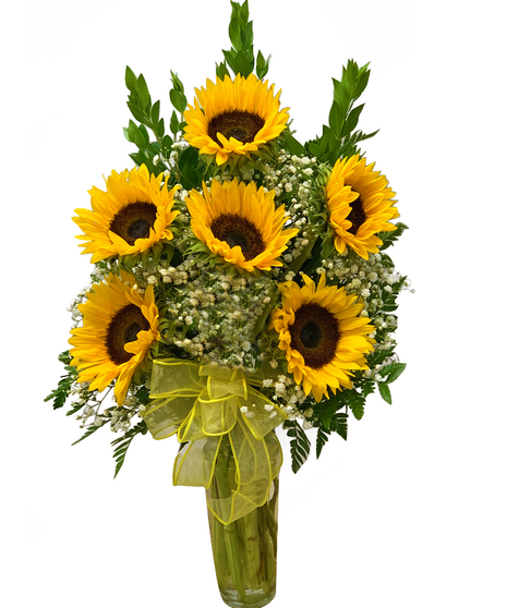 6 Sunflowers