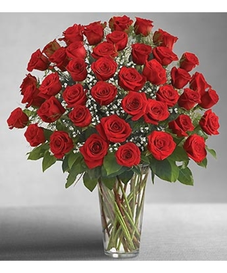 Vase of 48 red roses