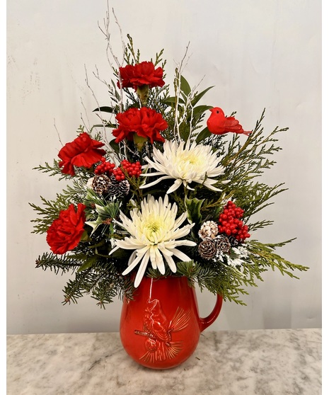 Scarlet Cardinal Pitcher