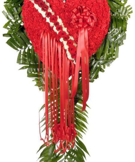 Bleeding-Broken  Heart of  red Carnations