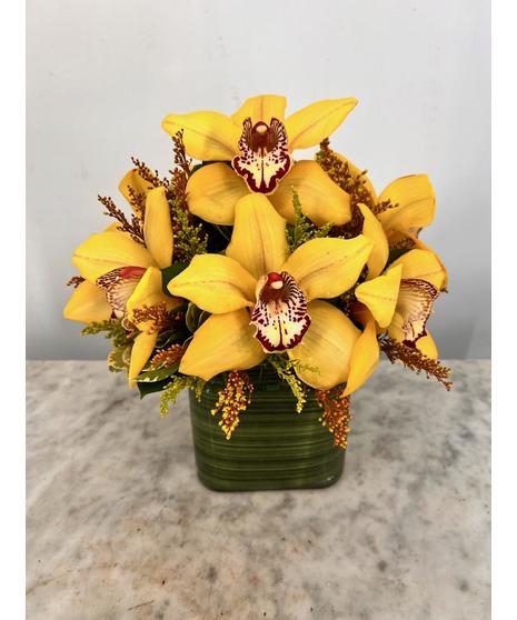 Orchids in a cube Fall