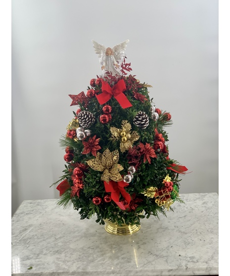 Boxwood Christmas Tree