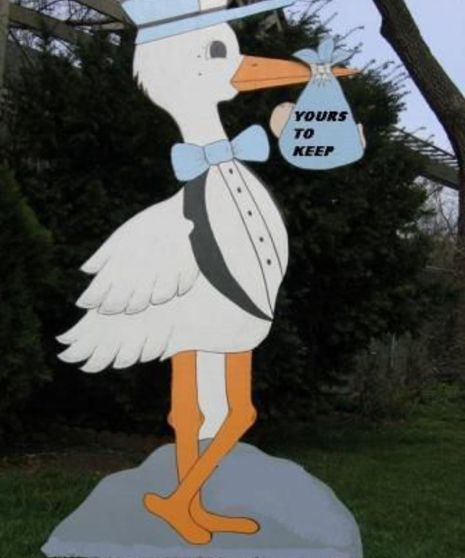 Baby Boy Stork Announcement