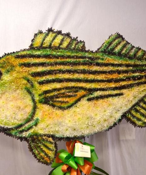 Stripped Bass