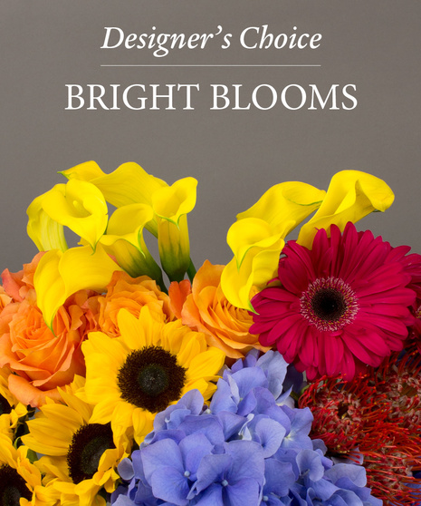 Bright & Colorful - Designer's Choice