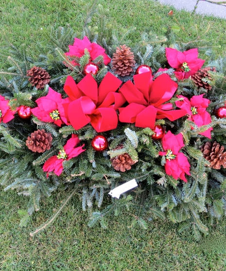 BLANKET MEDIUM Poinsettia
