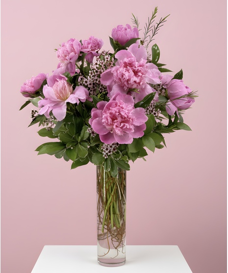 Blushing Blooms 12 Peonies in a Vase