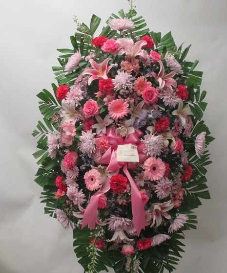 Shades of Pink Spray
