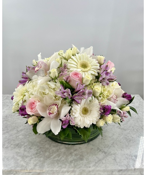 Pastel Allure