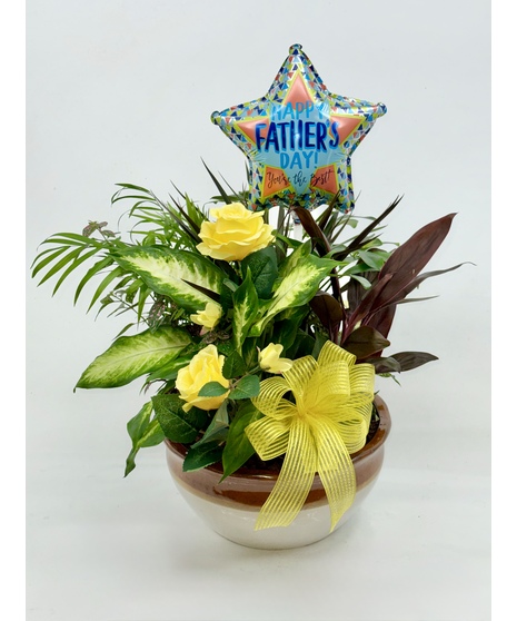 Dish Garden for Dad