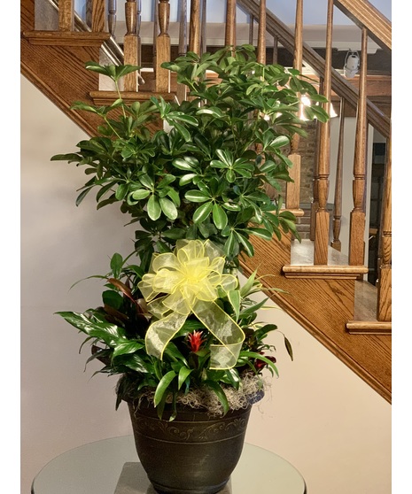AC Planter