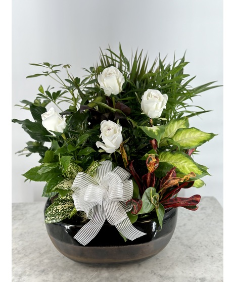Silk  Rose  Dish Garden