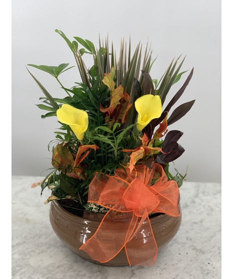 Large Fall Dish Garden
