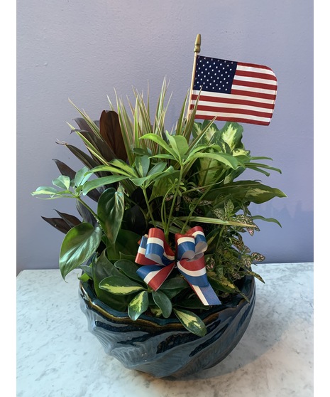 Patriotic Dish Garden