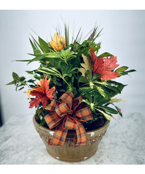Fall Dish Garden