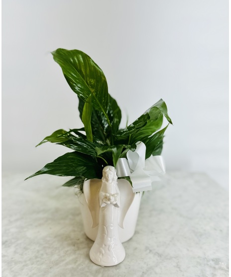 Petite Peace Lily with Angel