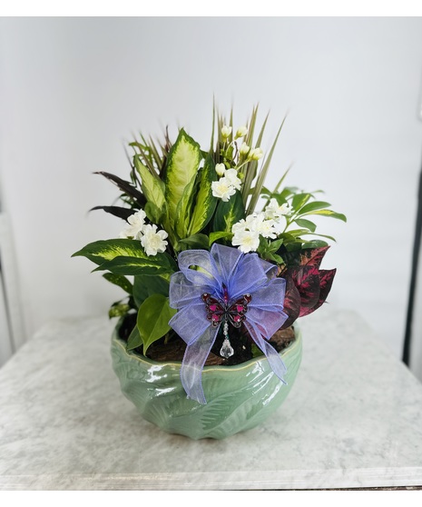 Butterfly Hearts Dish Garden