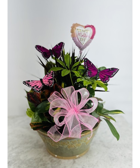 Mother's Day Dish Garden