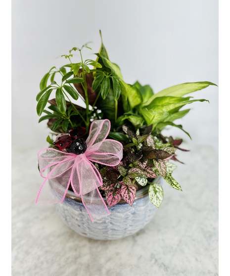 Lady Bug Dish Garden