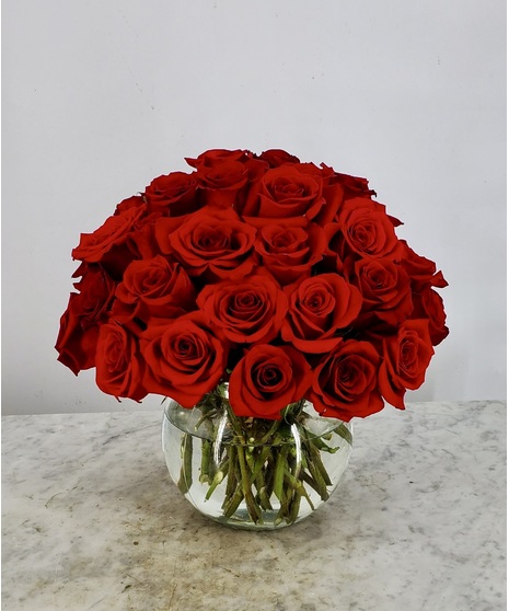 48 Ecuadorian red roses in giant glass bubble vase
