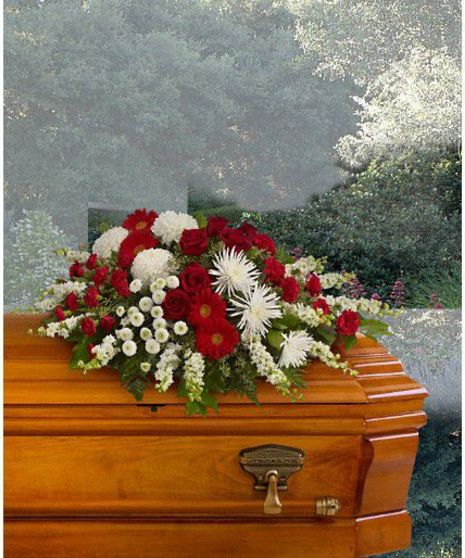 Casket Cover Strength and Wisdom