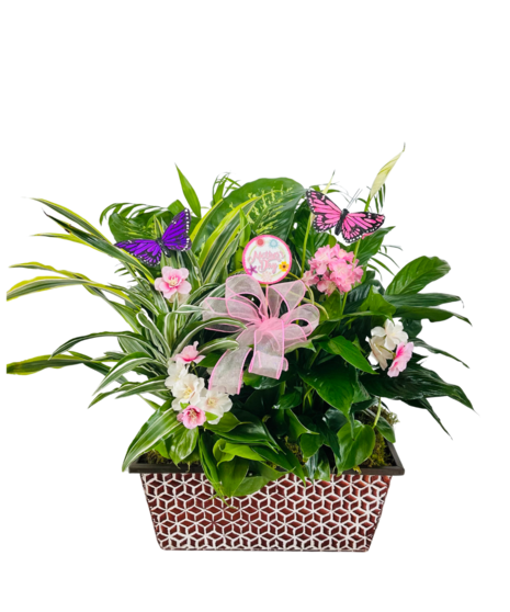 Mother's Day Window Box Planter