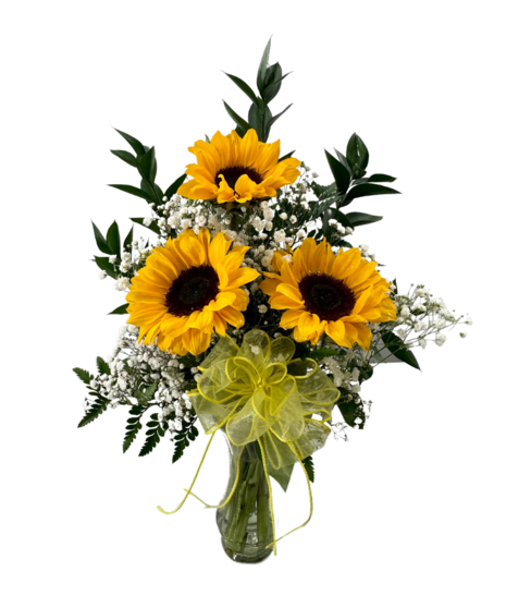 3 Sunflowers in a Vase
